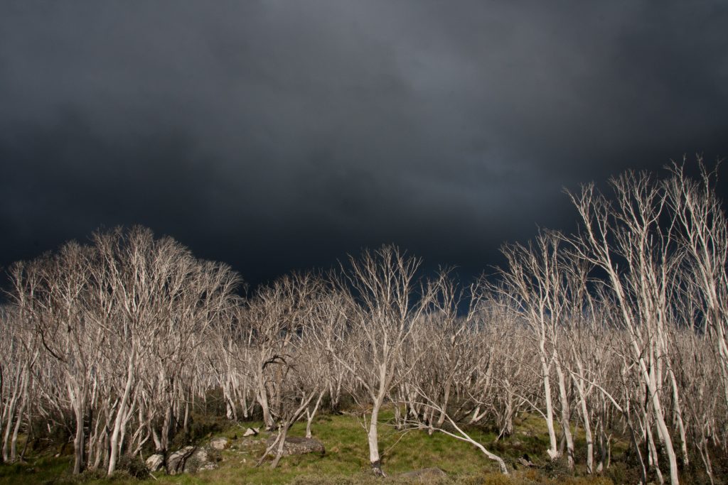 Image of storm over Western's Hut, Bogong High Plains